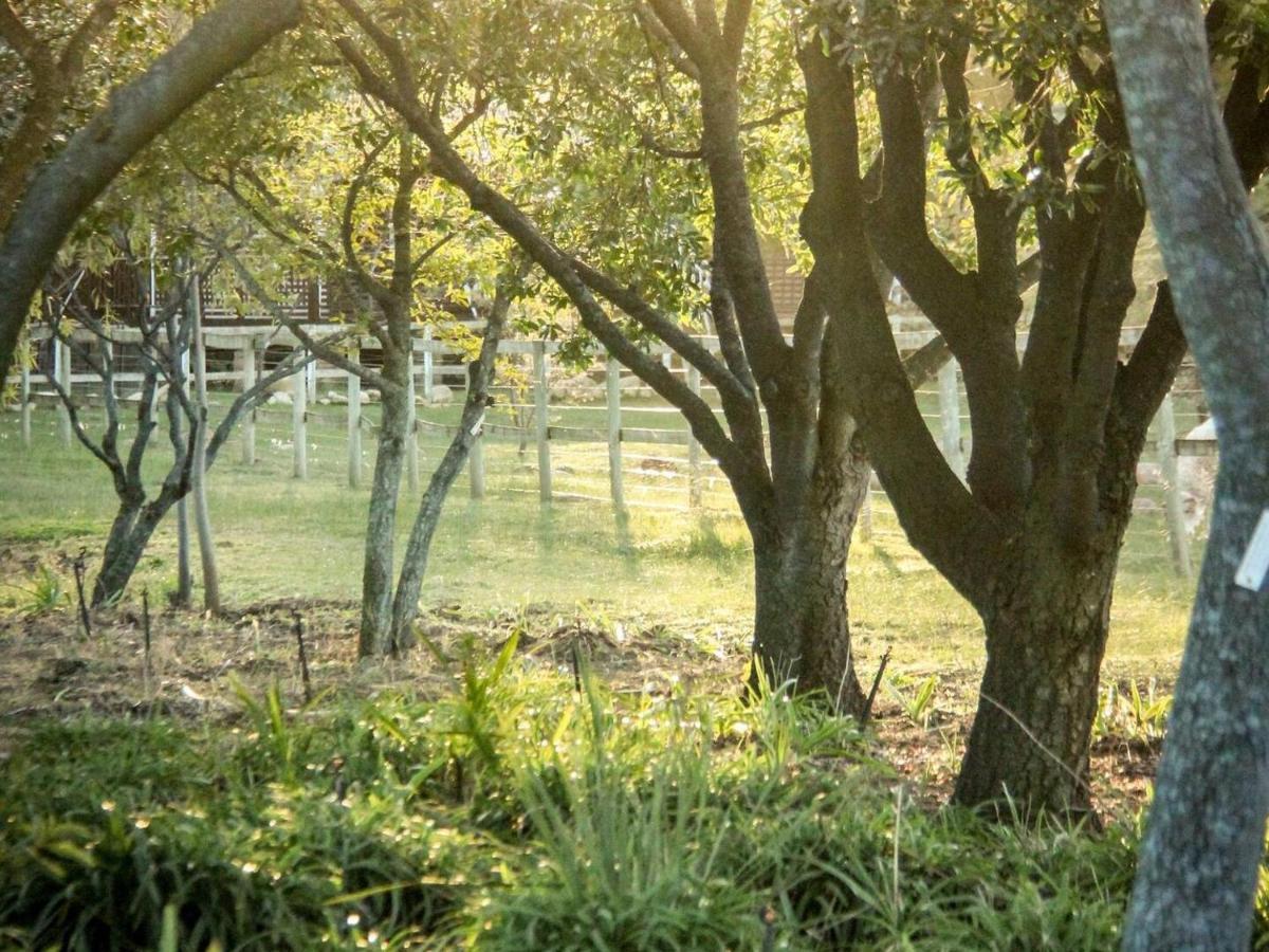 Place Of Sonlight Swellendam Luaran gambar